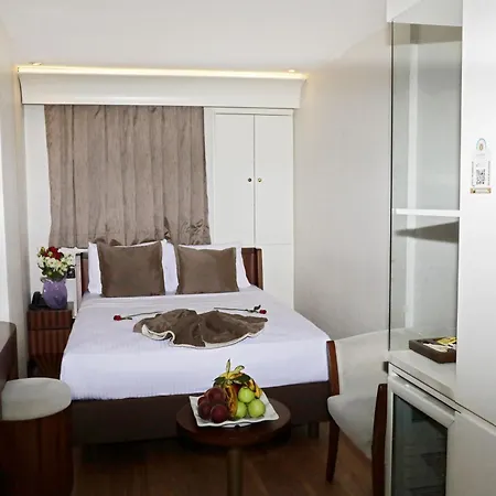 Victory Hotel & Spa Istanbul-2